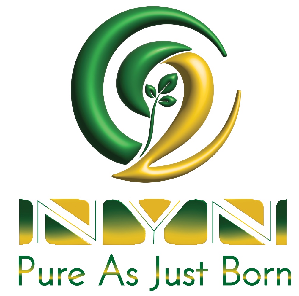NYN Logo